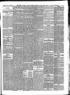 Sussex Express Friday 11 January 1901 Page 5