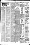Sussex Express Saturday 11 February 1905 Page 7