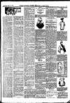 Sussex Express Saturday 18 February 1905 Page 7