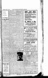 Luton News and Bedfordshire Chronicle Thursday 20 March 1919 Page 7