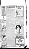 Luton News and Bedfordshire Chronicle Thursday 10 July 1919 Page 11
