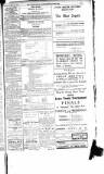 Luton News and Bedfordshire Chronicle Thursday 17 July 1919 Page 9