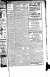 Luton News and Bedfordshire Chronicle Thursday 31 July 1919 Page 7