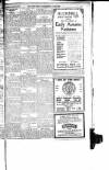 Luton News and Bedfordshire Chronicle Thursday 28 August 1919 Page 3