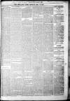 Shetland Times Monday 19 May 1873 Page 3
