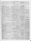 Shetland Times Saturday 03 July 1875 Page 3