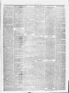 Shetland Times Saturday 10 July 1875 Page 3