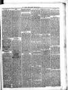 Shetland Times Saturday 12 February 1876 Page 3