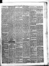 Shetland Times Saturday 19 February 1876 Page 3