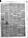Shetland Times Saturday 27 May 1876 Page 3