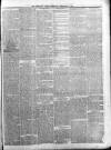 Shetland Times Saturday 03 February 1877 Page 3