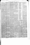 Shetland Times Saturday 13 April 1878 Page 3