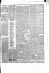 Shetland Times Saturday 27 April 1878 Page 3
