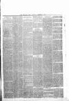 Shetland Times Saturday 28 December 1878 Page 3