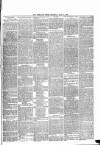 Shetland Times Saturday 22 May 1880 Page 3