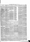 Shetland Times Saturday 05 June 1880 Page 3