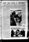 Shetland Times Friday 05 January 1979 Page 13