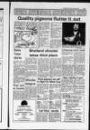 Shetland Times Friday 12 January 1990 Page 17