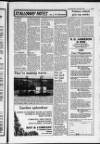 Shetland Times Friday 16 February 1990 Page 15