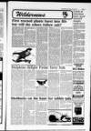 Shetland Times Friday 03 May 1991 Page 11