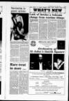 Shetland Times Friday 17 May 1991 Page 21