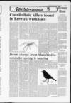 Shetland Times Friday 12 February 1993 Page 17