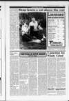 Shetland Times Friday 07 May 1993 Page 17