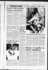 Shetland Times Friday 11 June 1993 Page 27