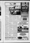 Shetland Times Friday 28 January 2000 Page 17