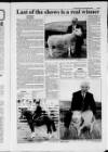 Shetland Times Friday 08 September 2000 Page 17
