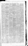 Birmingham Daily Gazette Thursday 17 July 1862 Page 7