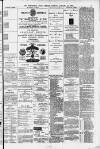 Birmingham Daily Gazette Tuesday 13 January 1880 Page 3