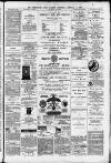 Birmingham Daily Gazette Thursday 05 February 1880 Page 3