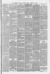 Birmingham Daily Gazette Tuesday 10 February 1880 Page 5