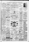 Birmingham Daily Gazette Thursday 19 February 1880 Page 3