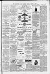 Birmingham Daily Gazette Tuesday 23 March 1880 Page 3