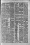 Birmingham Daily Gazette Tuesday 22 June 1880 Page 7