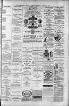 Birmingham Daily Gazette Thursday 05 August 1880 Page 3