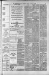 Birmingham Daily Gazette Friday 06 August 1880 Page 3