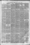 Birmingham Daily Gazette Friday 29 October 1880 Page 5