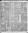 Birmingham Daily Gazette Friday 24 November 1893 Page 3