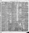 Birmingham Daily Gazette Tuesday 15 January 1895 Page 7
