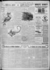 Evening Despatch Wednesday 03 September 1902 Page 7
