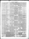 Swindon Advertiser and North Wilts Chronicle Monday 19 March 1877 Page 5