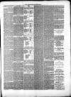 Swindon Advertiser and North Wilts Chronicle Monday 14 June 1880 Page 3