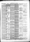 Swindon Advertiser and North Wilts Chronicle Monday 30 August 1880 Page 3