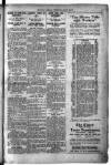 Daily Herald Wednesday 02 April 1919 Page 3