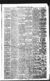 Coventry Standard Friday 09 January 1880 Page 9