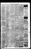 Coventry Standard Friday 05 March 1880 Page 8