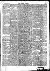 Surrey Comet Saturday 06 February 1875 Page 3